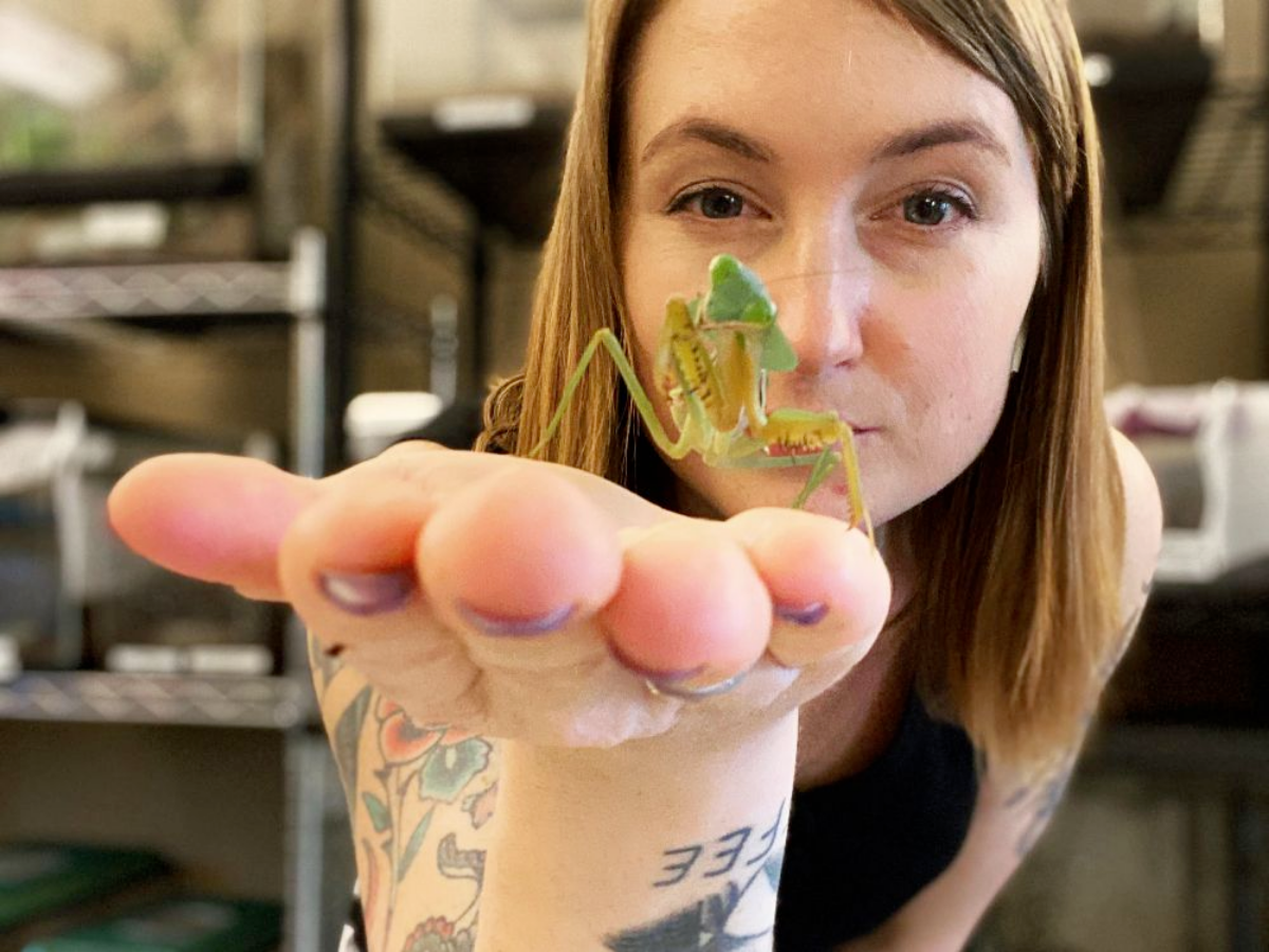 unnamed (94) Closeup of Bug Wrangler Brenna, holding a praying mantis up to the camera.