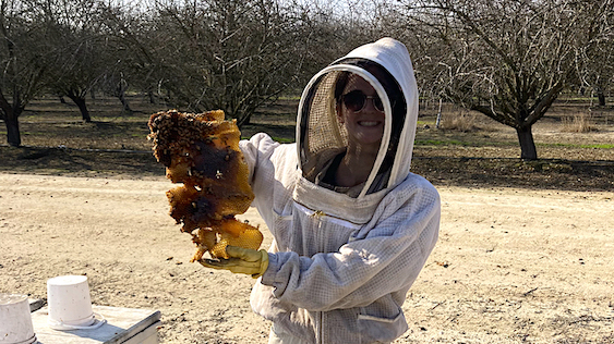 Photo of Anna Cassidy Webb in a beekeeper's suit, holding a large chunk of honey comb.