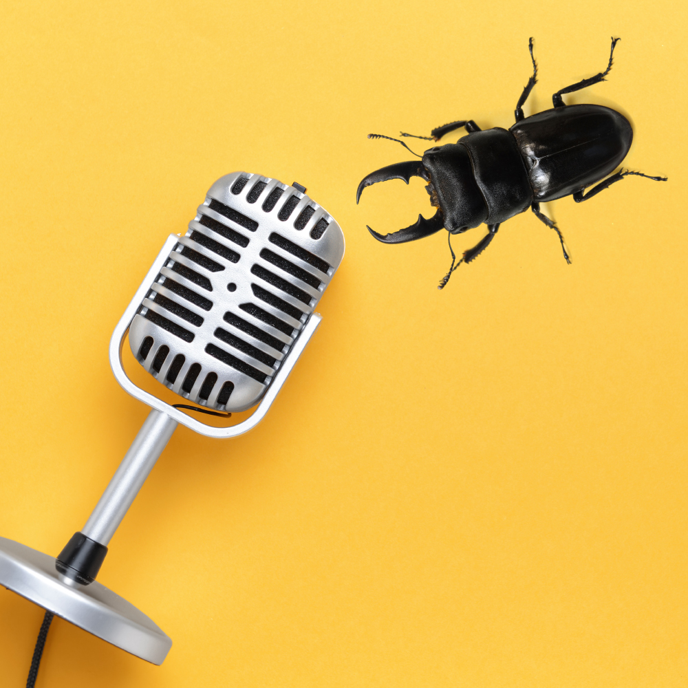 Image of a radio microphone laying down on a yellow background with a black stag beetle crawling to it.
