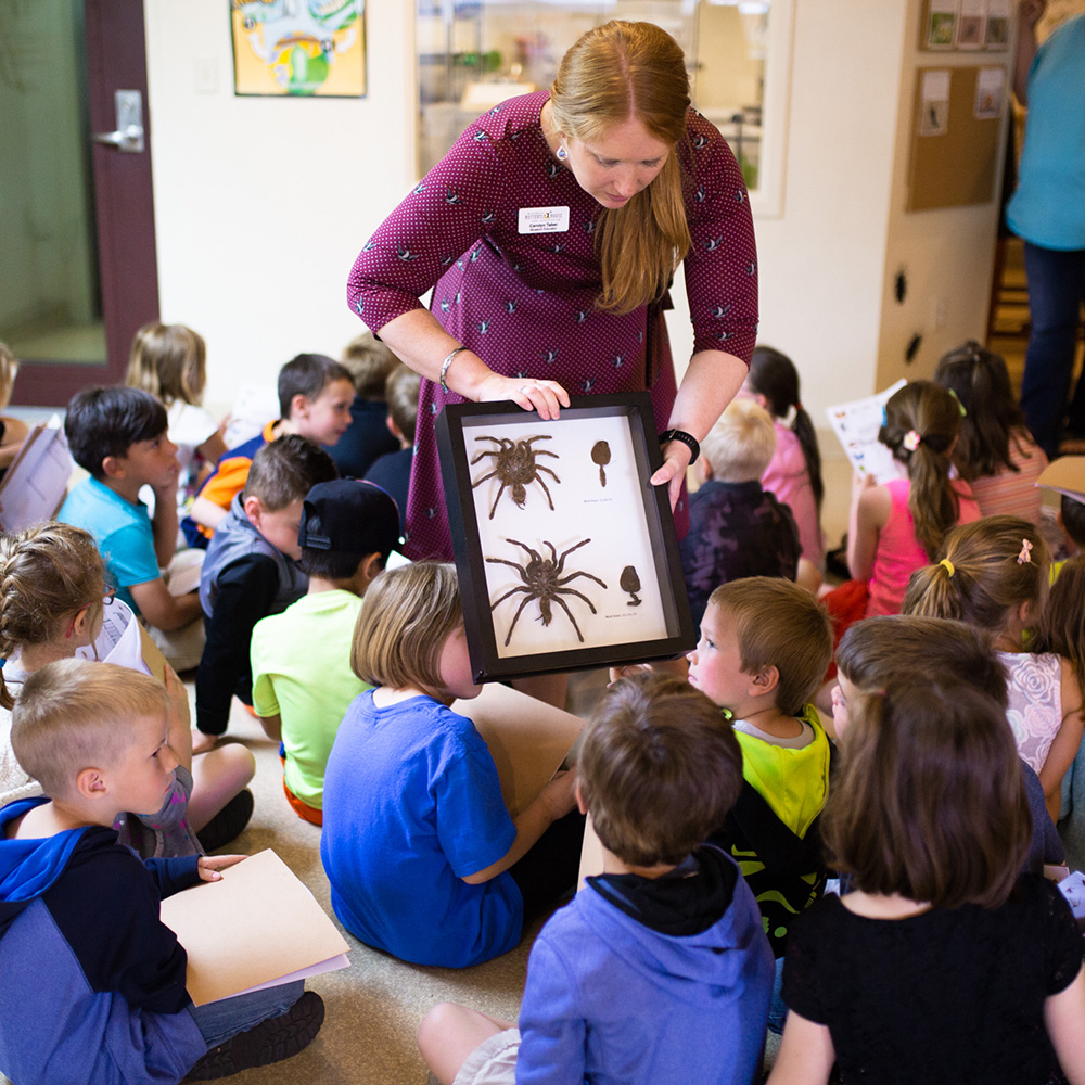 Photo of MBHI educator Carolyn showing tarantula molts to students sitting on floor.